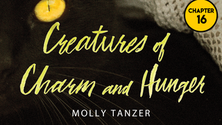 Read <i>Creatures of Charm and Hunger</i>: Chapter 16